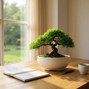 Bonsai-kruka
